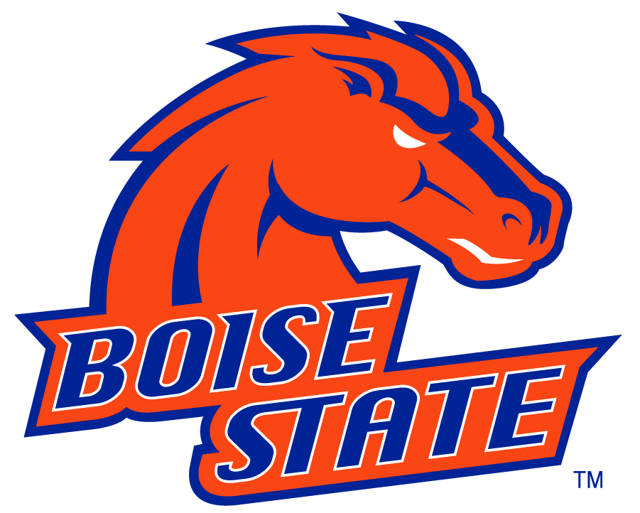 Boise State Broncos 2002-2012 Alternate Logo v4 t shirts iron on transfers